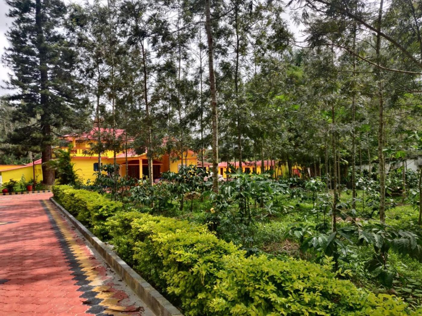 Coffeebean Villa - Unwind & Rejuvenate Sakleshpur Ngoại thất bức ảnh