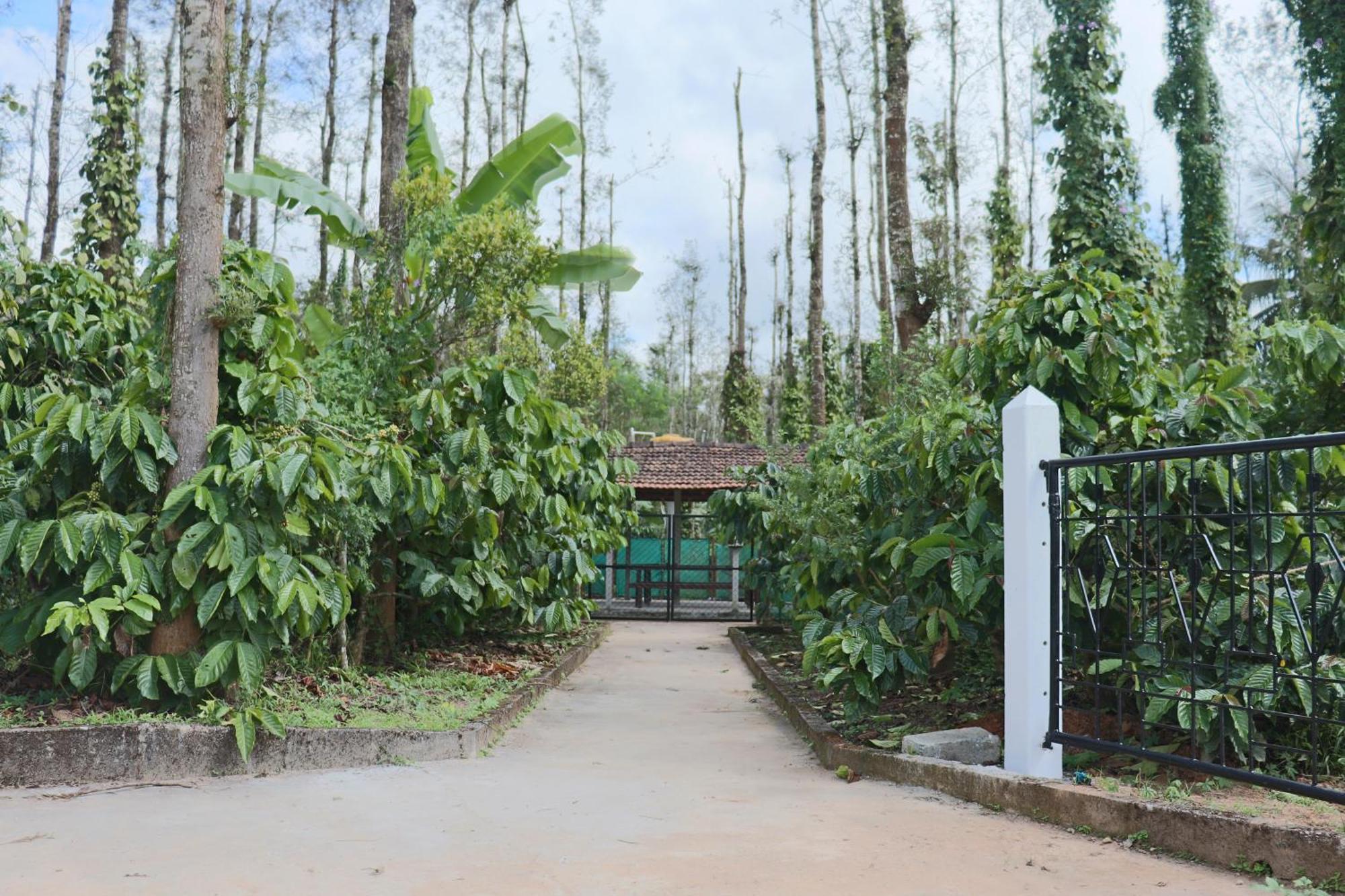 Coffeebean Villa - Unwind & Rejuvenate Sakleshpur Ngoại thất bức ảnh